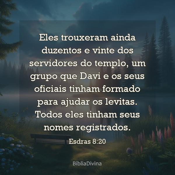 Esdras 8:20