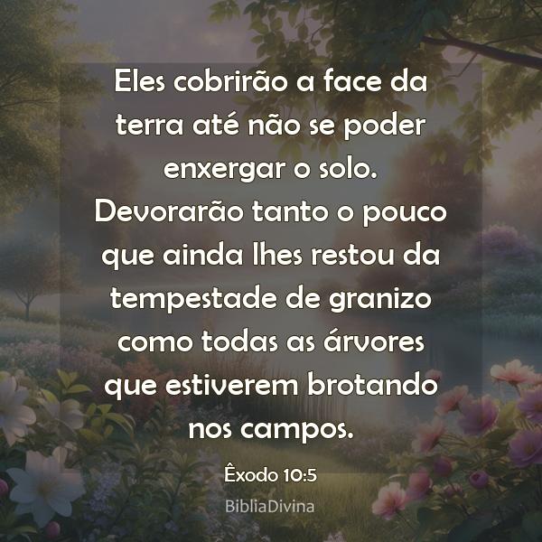 Êxodo 10:5