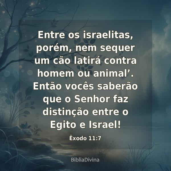 Êxodo 11:7