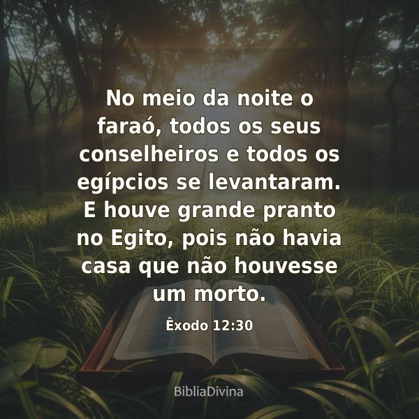 Êxodo 12:30