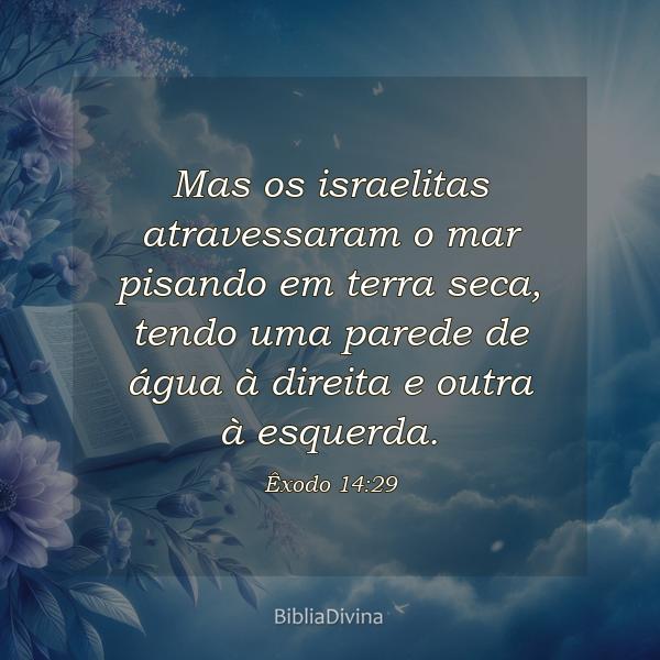 Êxodo 14:29