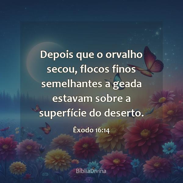 Êxodo 16:14