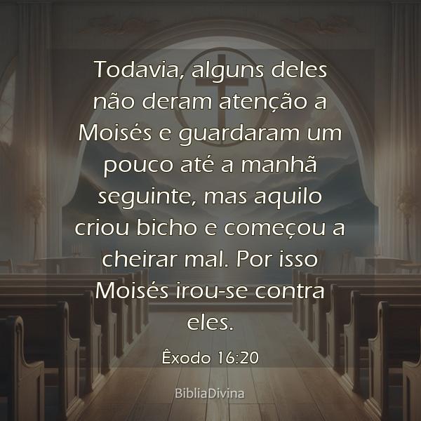 Êxodo 16:20