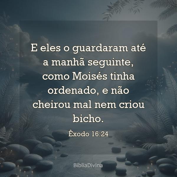 Êxodo 16:24