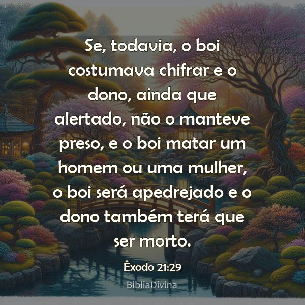 Êxodo 21:29