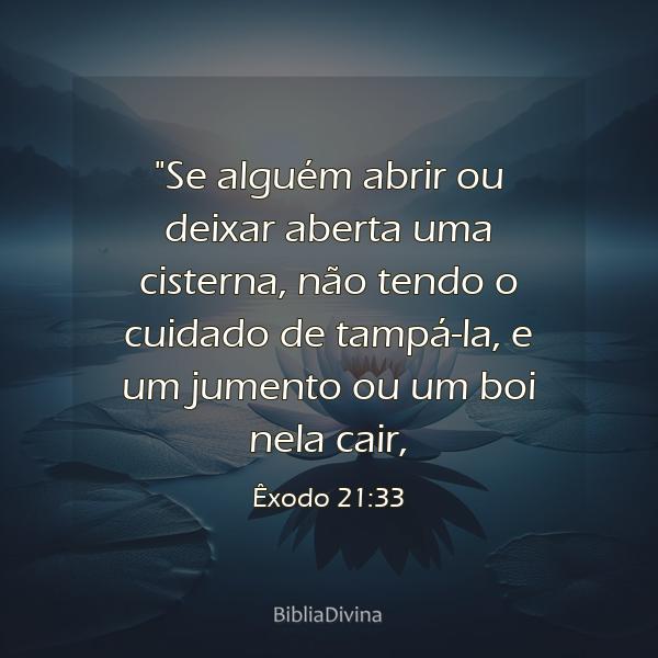 Êxodo 21:33