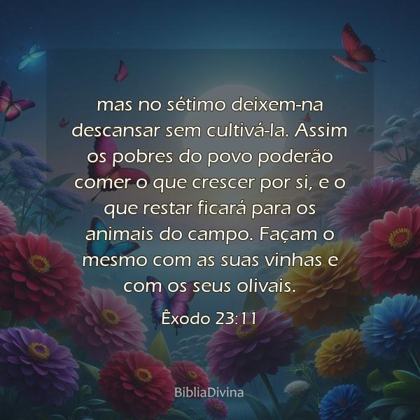 Êxodo 23:11