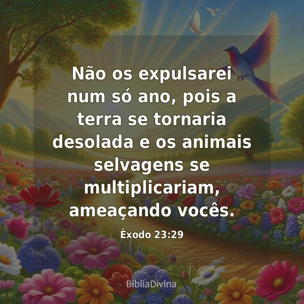 Êxodo 23:29