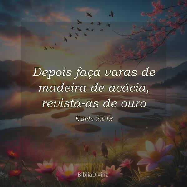 Êxodo 25:13