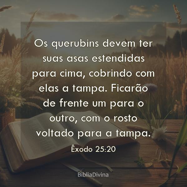 Êxodo 25:20