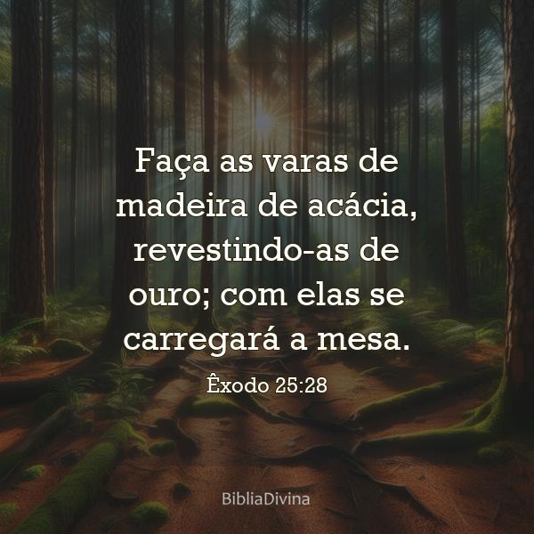 Êxodo 25:28