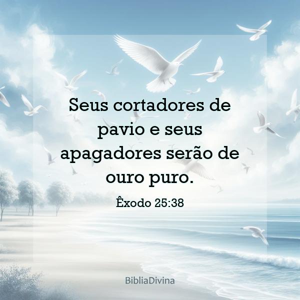 Êxodo 25:38