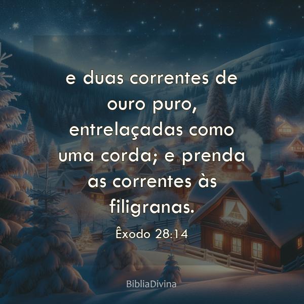 Êxodo 28:14