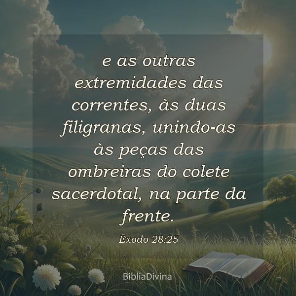 Êxodo 28:25