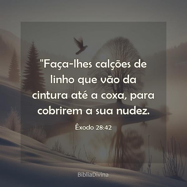 Êxodo 28:42