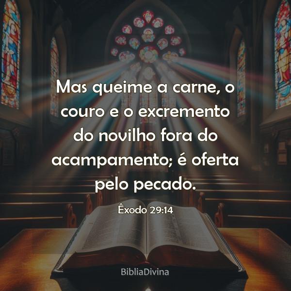 Êxodo 29:14