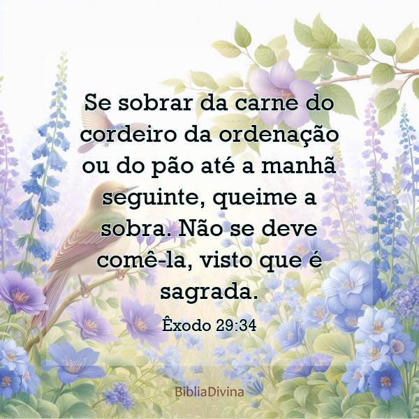 Êxodo 29:34