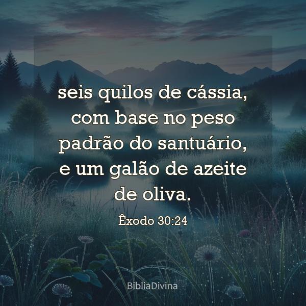 Êxodo 30:24