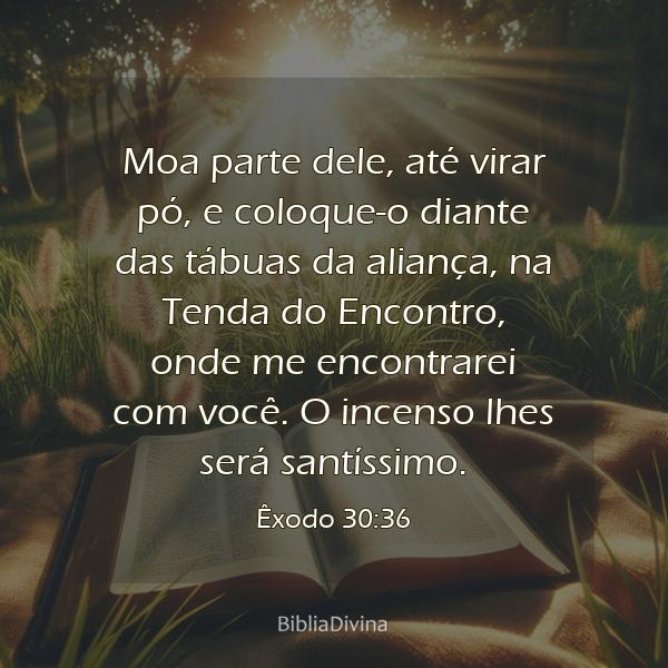 Êxodo 30:36