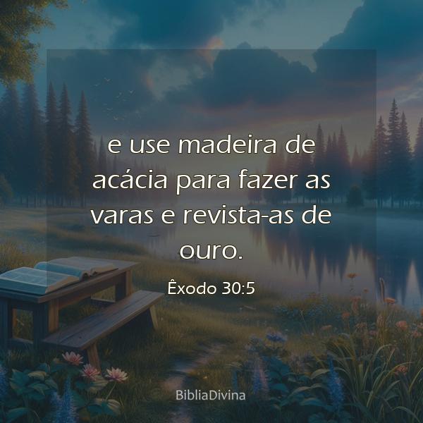 Êxodo 30:5