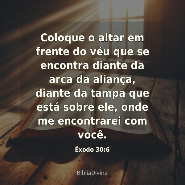 Êxodo 30:6