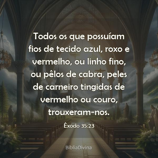 Êxodo 35:23