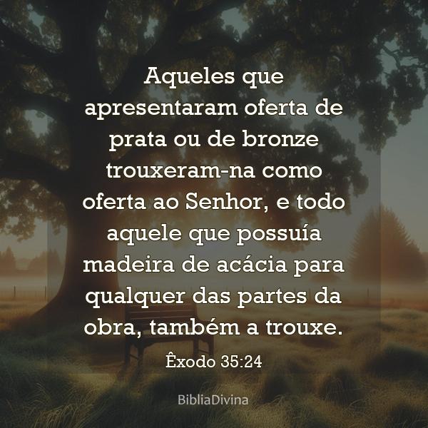 Êxodo 35:24