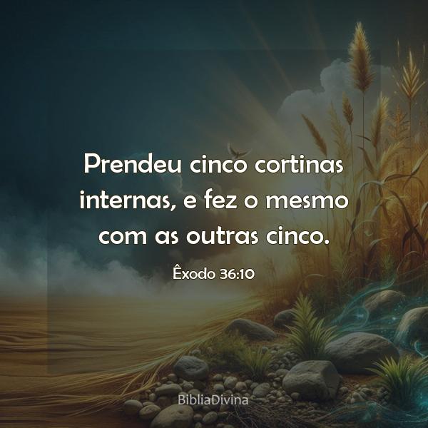 Êxodo 36:10