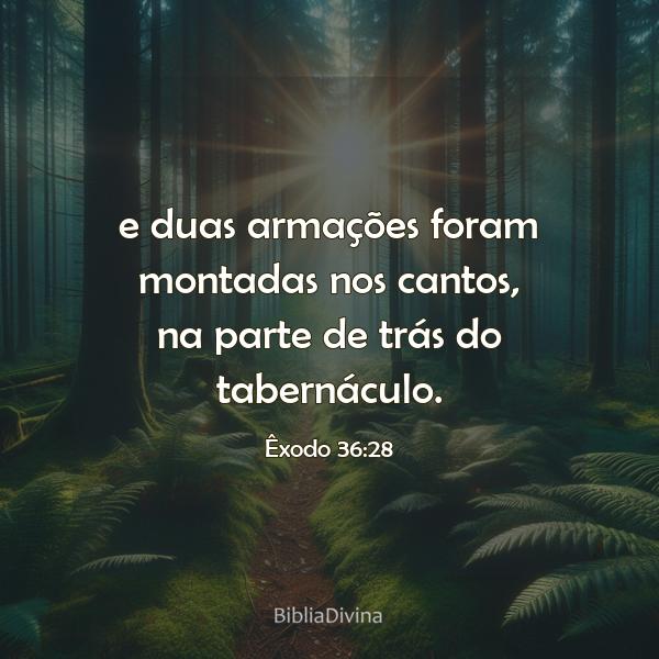 Êxodo 36:28