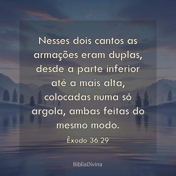 Êxodo 36:29