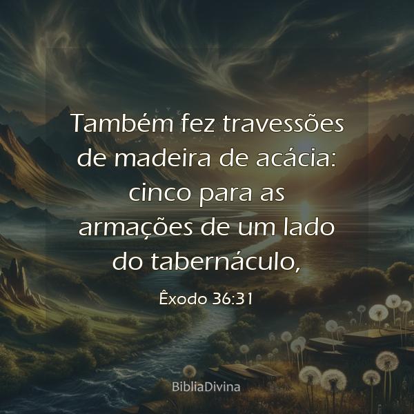 Êxodo 36:31