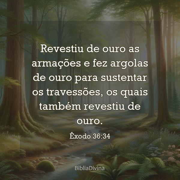 Êxodo 36:34