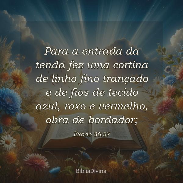 Êxodo 36:37