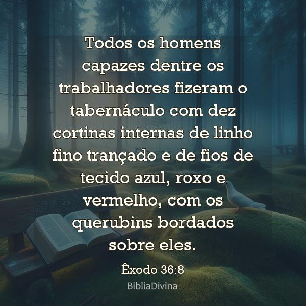 Êxodo 36:8