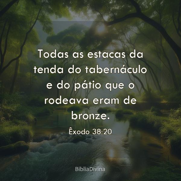 Êxodo 38:20