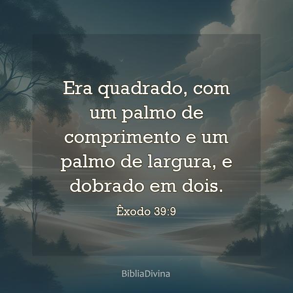 Êxodo 39:9