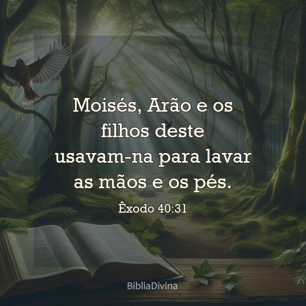 Êxodo 40:31