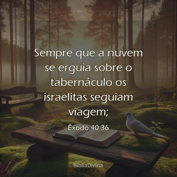 Êxodo 40:36