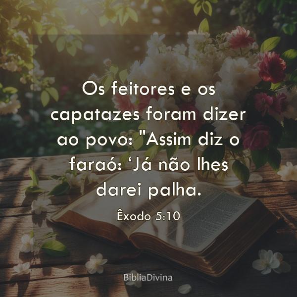 Êxodo 5:10