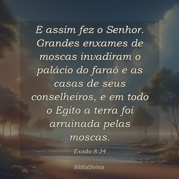 Êxodo 8:24