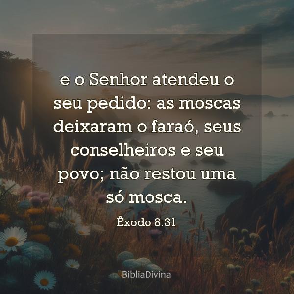 Êxodo 8:31