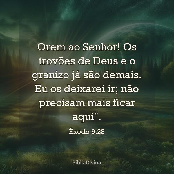 Êxodo 9:28