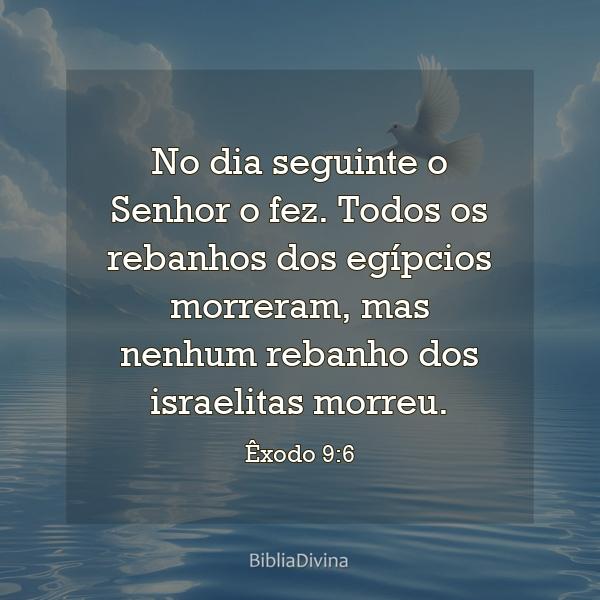 Êxodo 9:6