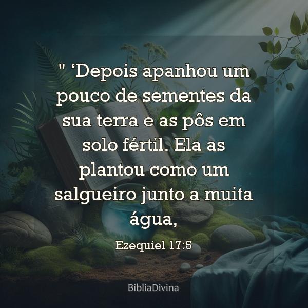 Ezequiel 17:5