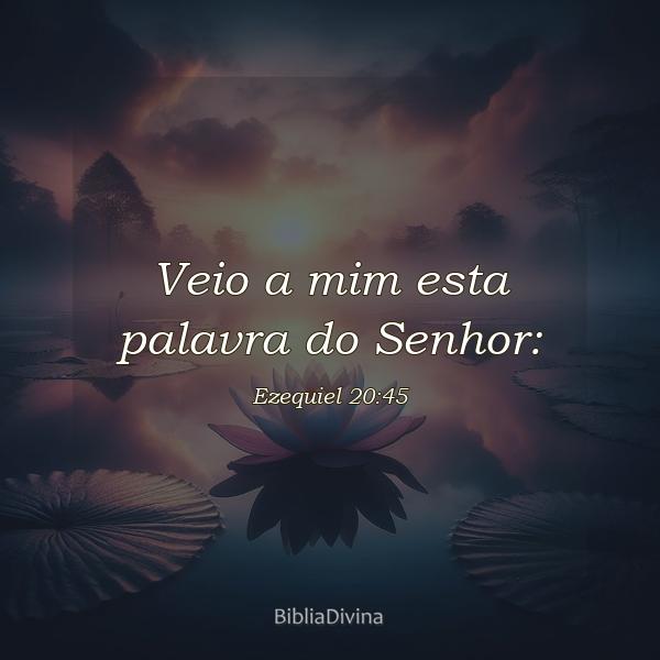 Ezequiel 20:45