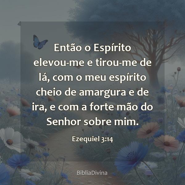 Ezequiel 3:14