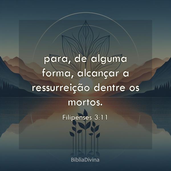 Filipenses 3:11