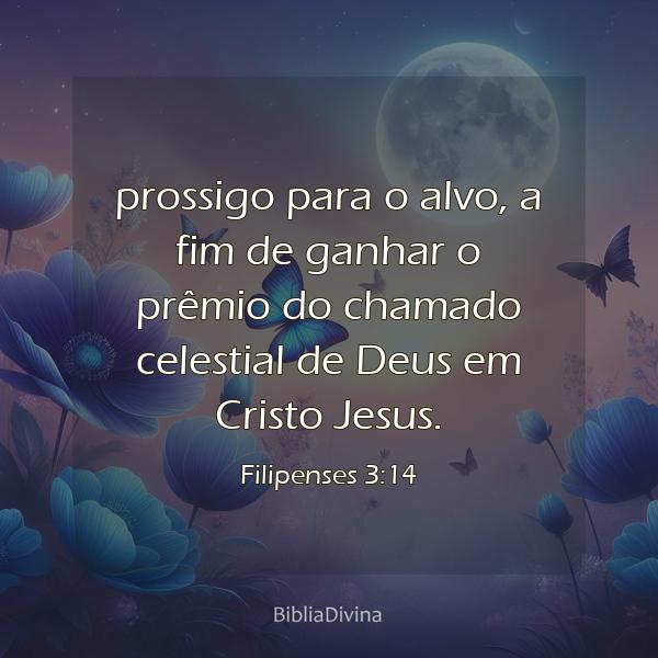 Filipenses 3:14