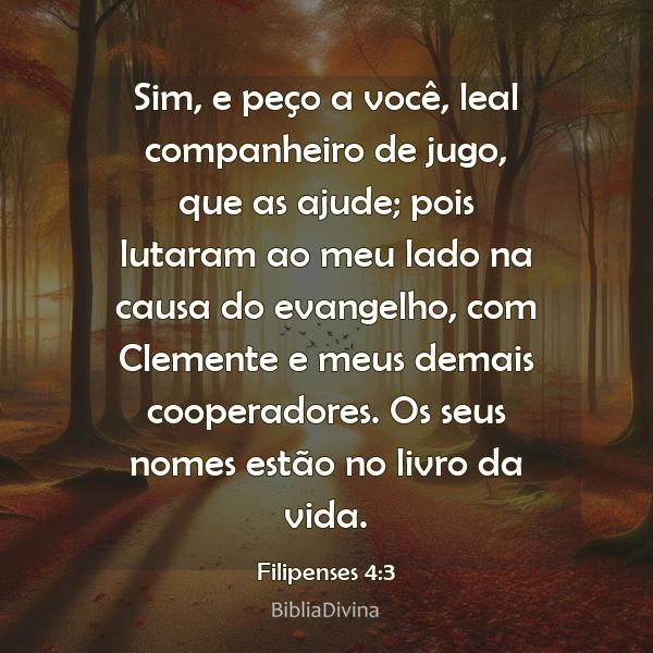 Filipenses 4:3