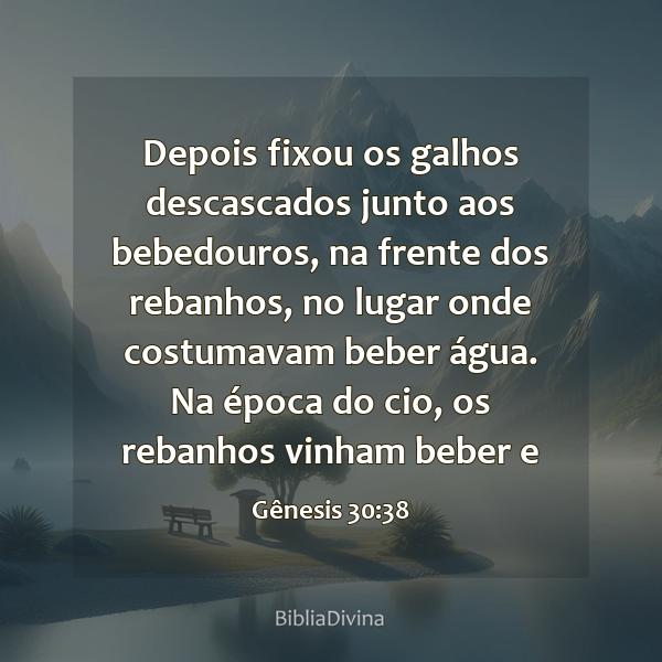 Gênesis 30:38